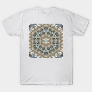 intricate art nouveau and art deco styled pattern and designs T-Shirt